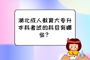 湖北成人教育大專(zhuān)升本科考試的科目有哪些？