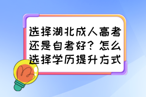 選擇湖北成人高考還是自考好？怎么選擇學歷提升方式？