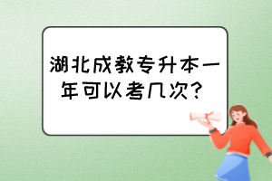 湖北成教專升本一年可以考幾次？