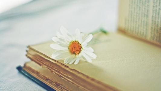 湖北成考高數(shù)難嗎湖北成考可以不考數(shù)學(xué)嗎？