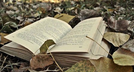 2019年湖北成考什么時(shí)候報(bào)名有什么注意事項(xiàng)