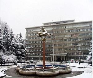 武漢理工大學(xué)成人高考專升本可以報考哪些專業(yè)？