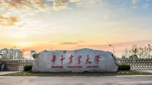 華中農(nóng)業(yè)大學(xué)成教報(bào)名手續(xù)怎么辦理？