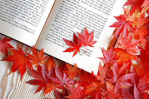 中專文憑可以報(bào)名湖北武漢成人高考嗎？