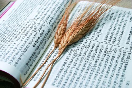 湖北荊門成人高考好的學(xué)習(xí)方法有哪些？