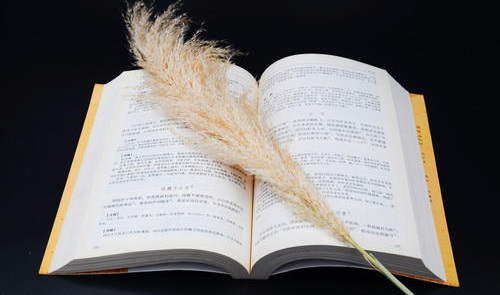 湖北成人高考文憑社會(huì)上認(rèn)可嗎？