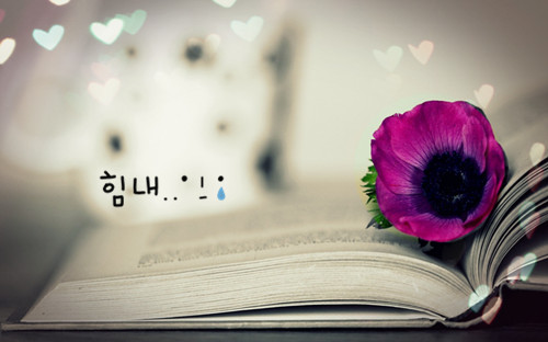 湖北成人高考考生申請(qǐng)調(diào)劑別只盯名校