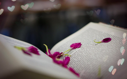 湖北成人高考什么時候現(xiàn)場確認(rèn)？