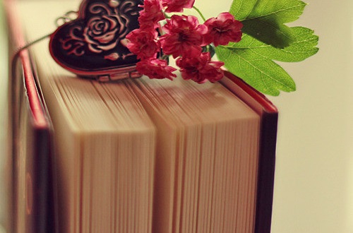 湖北成人高考忘記準考證號和報名號如何查詢成績？