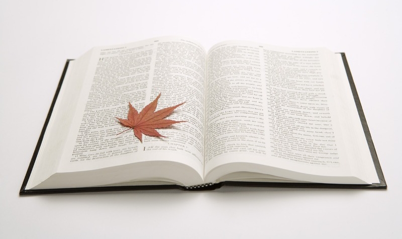 2020年湖北成考學(xué)位英語考試考試技巧有哪些?