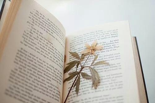 湖北中醫(yī)藥大學成人高考擬取消彭蓉等241人學籍的公示