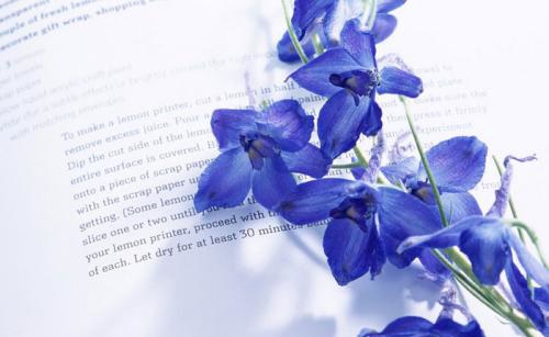 2020級(jí)中南財(cái)經(jīng)政法大學(xué)成人高考新生報(bào)到須知