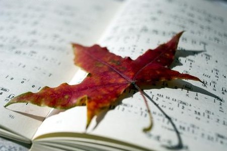 湖北成人高考現(xiàn)場確認可以用臨時身份證嗎?