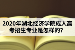 2020年湖北經(jīng)濟學(xué)院成人高考招生專業(yè)是怎樣的？