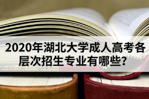 2020年湖北大學(xué)成人高考各層次招生專業(yè)有哪些？