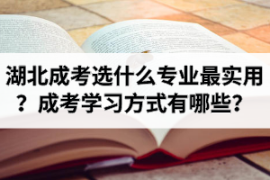 湖北成考選什么專業(yè)最實用？成考學習方式有哪些？