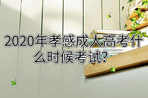 2020年孝感成人高考什么時(shí)候考試？