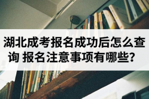 湖北成考報(bào)名成功后怎么查詢？