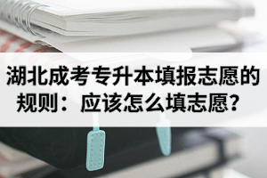 湖北成考專升本填報志愿的規(guī)則是怎樣的？應該怎么填志愿？