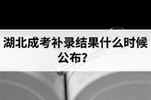 湖北成考補錄結果什么時候公布？