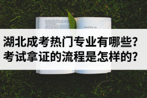 湖北成考熱門(mén)專(zhuān)業(yè)有哪些？考試拿證的流程是怎樣的？