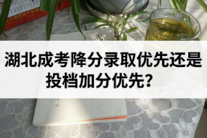湖北成考降分錄取優(yōu)先還是投檔加分優(yōu)先？