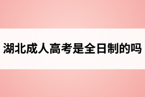 湖北成人高考是全日制的嗎？
