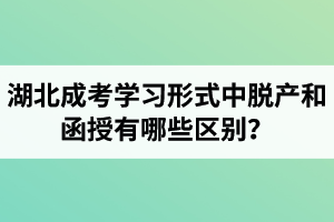 湖北成考學習形式中脫產(chǎn)和函授有哪些區(qū)別？