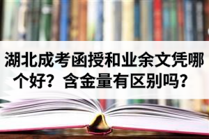 湖北成考函授和業(yè)余文憑哪個好？