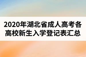 2020年湖北省成人高考各高校新生入學(xué)登記表下載鏈接匯總