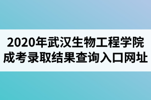 2020年武漢生物工程學(xué)院成人高考錄取結(jié)果查詢?nèi)肟诰W(wǎng)址