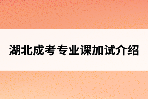 湖北成人高考專業(yè)課加試介紹
