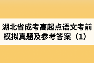湖北省成人高考高起點(diǎn)語(yǔ)文考前模擬真題及參考答案（1）