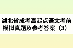 湖北省成人高考高起點語文考前模擬真題及參考答案（3）