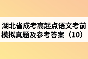 湖北省成人高考高起點(diǎn)語(yǔ)文考前模擬真題及參考答案（10）