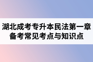 湖北省成人高考專升本民法考試第一章備考常見考點(diǎn)與知識點(diǎn)