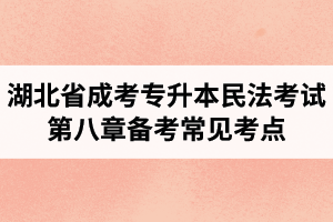 湖北省成人高考專升本民法考試第八章備考常見(jiàn)考點(diǎn)與知識(shí)點(diǎn)