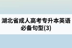 湖北省成人高考專(zhuān)升本英語(yǔ)必備句型(3)