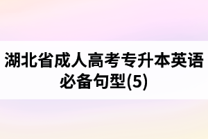 湖北省成人高考專升本英語必備句型(5)