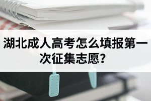 湖北成人高考怎么填報第一次征集志愿？
