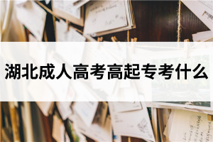 湖北成人高考高起?？际裁?？