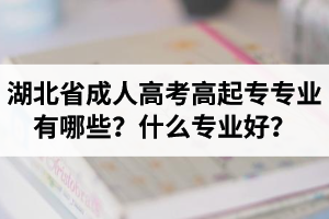 湖北省成人高考高起專專業(yè)有哪些？什么專業(yè)好？
