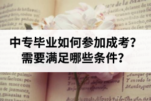 中專畢業(yè)如何參加湖北成考？報名需要滿足哪些條件？