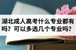 湖北省成人高考什么專業(yè)都有嗎？報名時可以多選幾個專業(yè)嗎？
