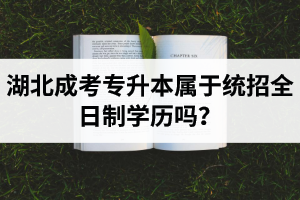 湖北成考專升本屬于統(tǒng)招全日制學歷嗎？