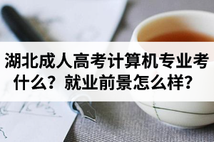 湖北成人高考計(jì)算機(jī)專業(yè)考什么？就業(yè)前景怎么樣？