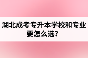 湖北成考專升本學(xué)校和專業(yè)要怎么選？