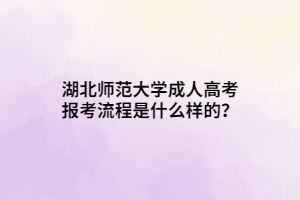 湖北師范大學成人高考報考流程是什么樣的？