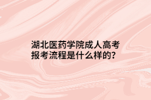 湖北醫(yī)藥學(xué)院成人高考報(bào)考流程是什么樣的？