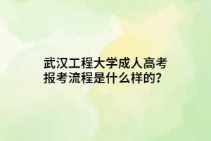 武漢工程大學(xué)成人高考報(bào)考流程是什么樣的？